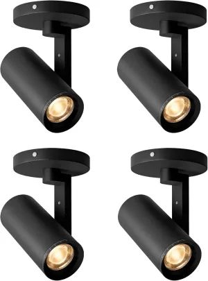 Aisilan 4 Pack Black LED Zoomable Ceiling Spotlight 12W Dimmable Adjustable Beam Angle 10-55° Swivelable Angle CRI 97 Matt Aluminum Directional Accent Lamp for Corridor Mural Living Room, Warm White