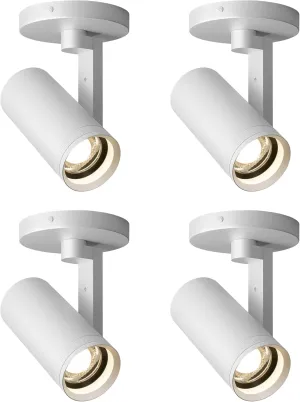 Aisilan 4 Pack LED Zoomable Ceiling Spotlight 12W Dimmable Adjustable Beam Angle 10-55° Swivelable Angle CRI 97 Matt Aluminum Accent Lamp for Corridor Mural Living Room Warm White 3000K