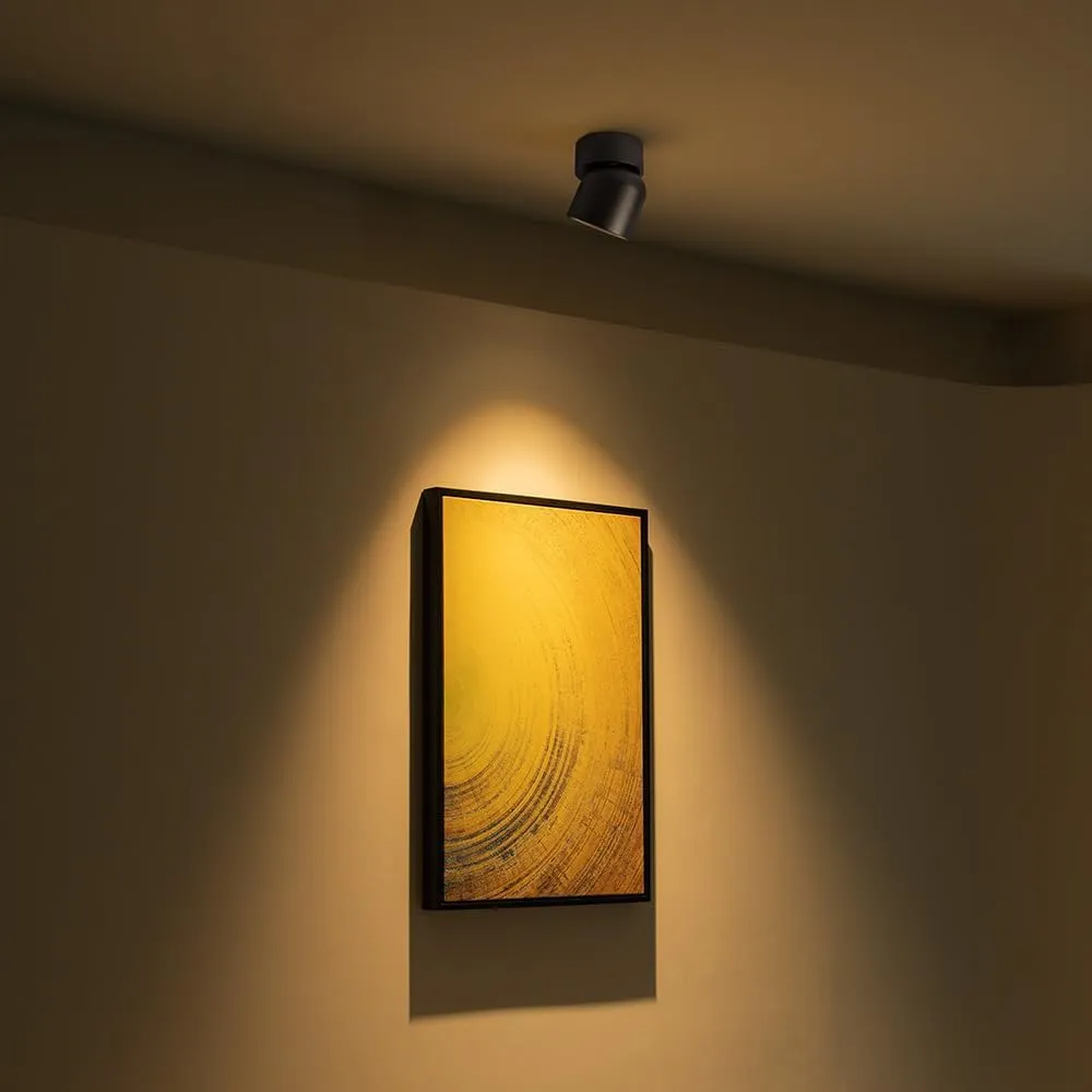 Aisilan Ceiling Spotlight Fixtures, Modern LED Spotlight Indoor, 9W Accent Spot Light with 360°Rotatable, Directional Spot Lights for Living Room Bedroom Painting Artwork, 3000K CRI 97 