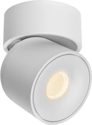 Aisilan White 9W LED Adjustable Ceiling Spotlight Indoor Accent Lamp Surface Mounted Downlight Aluminum with 360° Pivoting Spot Light, Warm White CRI 97  for Living Room Artwork Picture