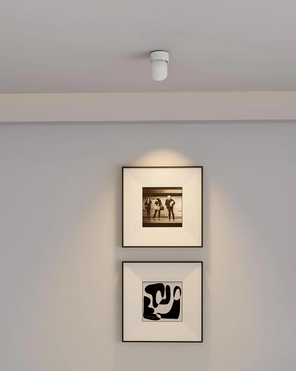 Aisilan White 9W LED Adjustable Ceiling Spotlight Indoor Accent Lamp Surface Mounted Downlight Aluminum with 360° Pivoting Spot Light, Warm White CRI 97  for Living Room Artwork Picture
