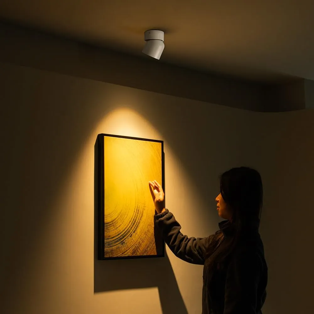 Aisilan White 9W LED Adjustable Ceiling Spotlight Indoor Accent Lamp Surface Mounted Downlight Aluminum with 360° Pivoting Spot Light, Warm White CRI 97  for Living Room Artwork Picture