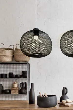 Apple Ceiling Lamp 2C