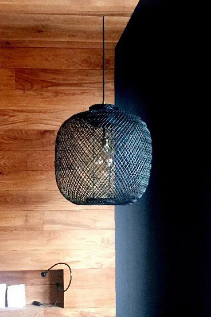 Apple Ceiling Lamp 4C