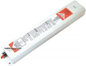 BatteryGuy EB50 Replacement Emergency Lighting Ballast (1400 Lumen Output) with LED Test Switch & AC Ourtput & Time delay Enhancement - BatteryGuy Brand Equivalent