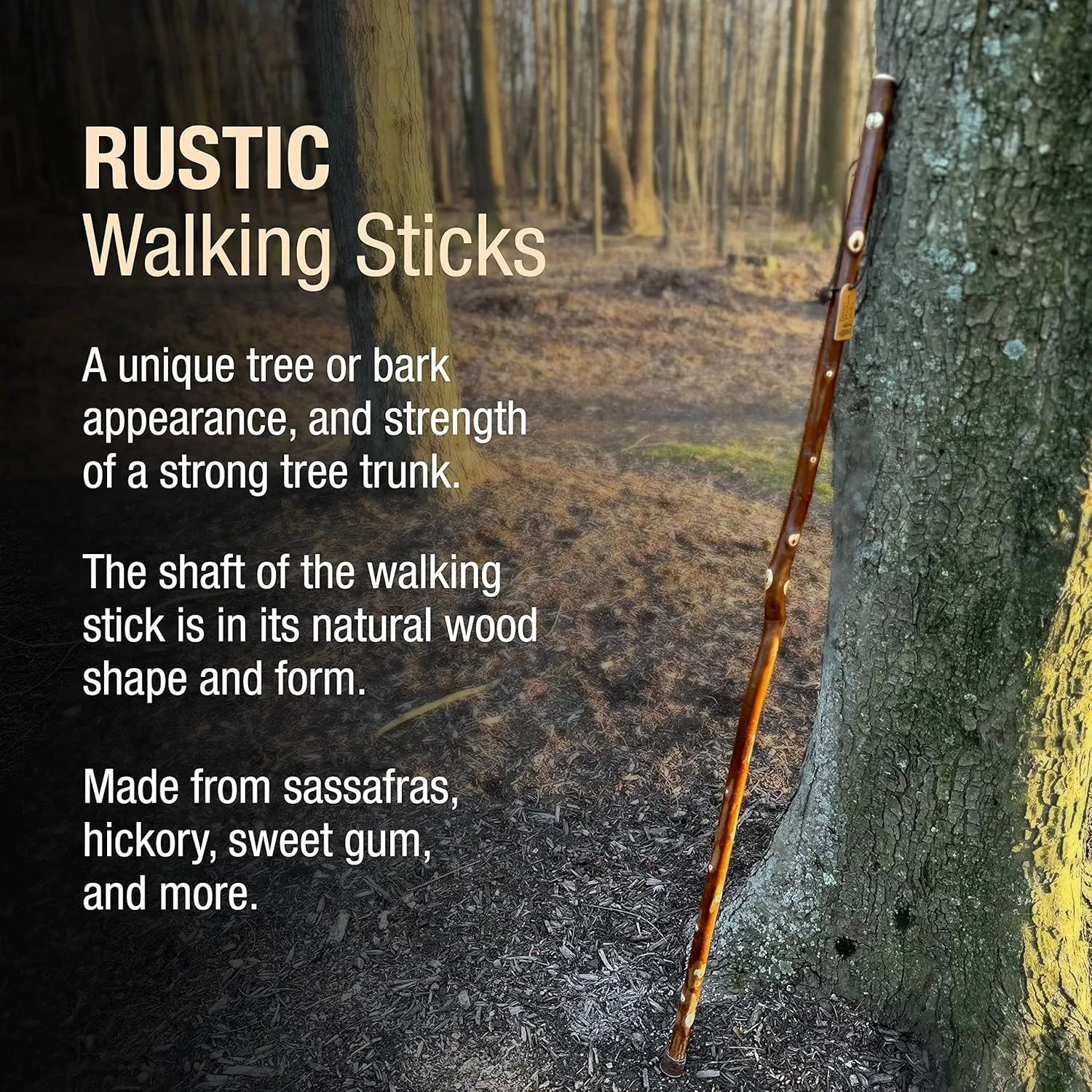 Brazos Rustic Wood Walking Stick, Maple, Traditional Style Handle, for Men & Women, Made in the USA, 55"