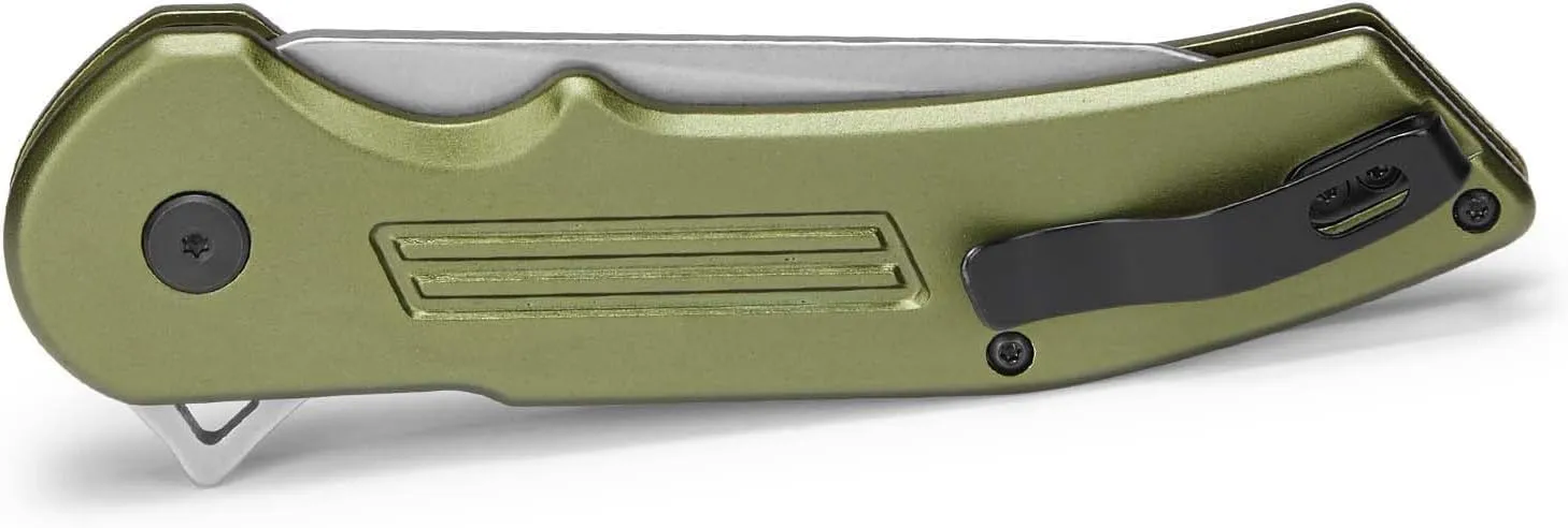 Buck Knives 262 Hexam Assist, Spring-Assist Folding Pocket Knife, 3.35" Stainless Steel Blade, Pocket Clip (Green)