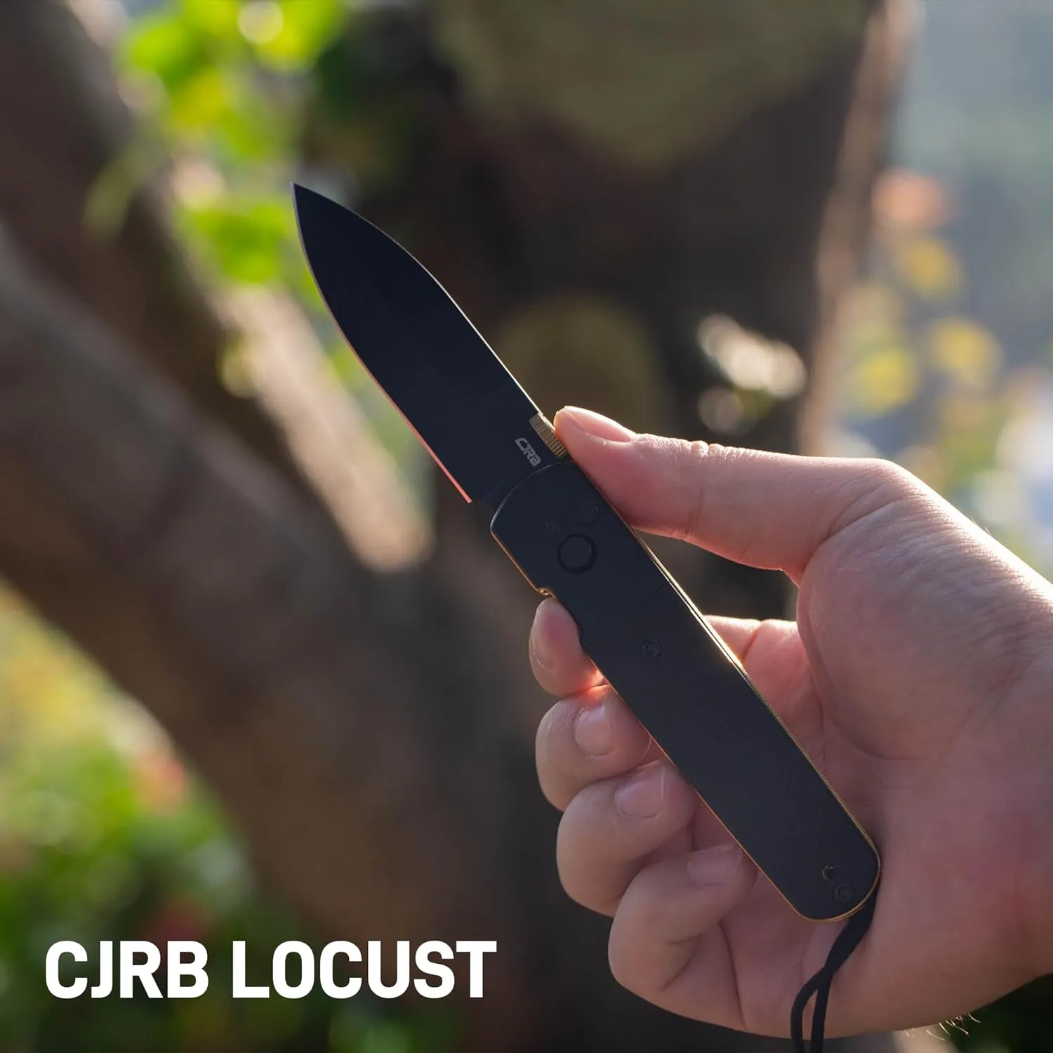 CJRB Locust Folding Knife, 3.15'' AR-RPM9 Steel Blade Pocket Knife with Black PVD Steel&G10 Inlay Handle, Button Lock with Safety Switch EDC Knife for Men Women Camping Hiking(1951-BG)