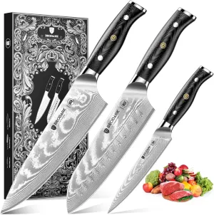 Damascus Kitchen Knife Set 3 PCS: Japanese Knives with Premium VG10 Damascus Steel, Ultra-Sharp Professional Chef Knife Set, Full Tang G10 Hand, Elegant Box