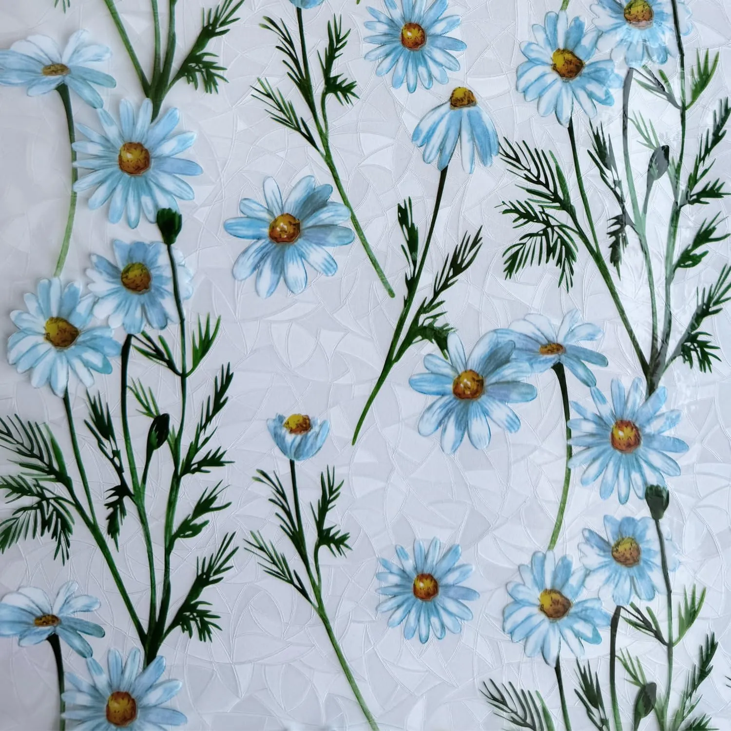 Decorative Window Privacy Film Stained Glass Film Rainbow Daisy Window clings Non-Adhesive Reusable UV Blocking Door Covering for Home and Office,35 inches by 78.7 inches