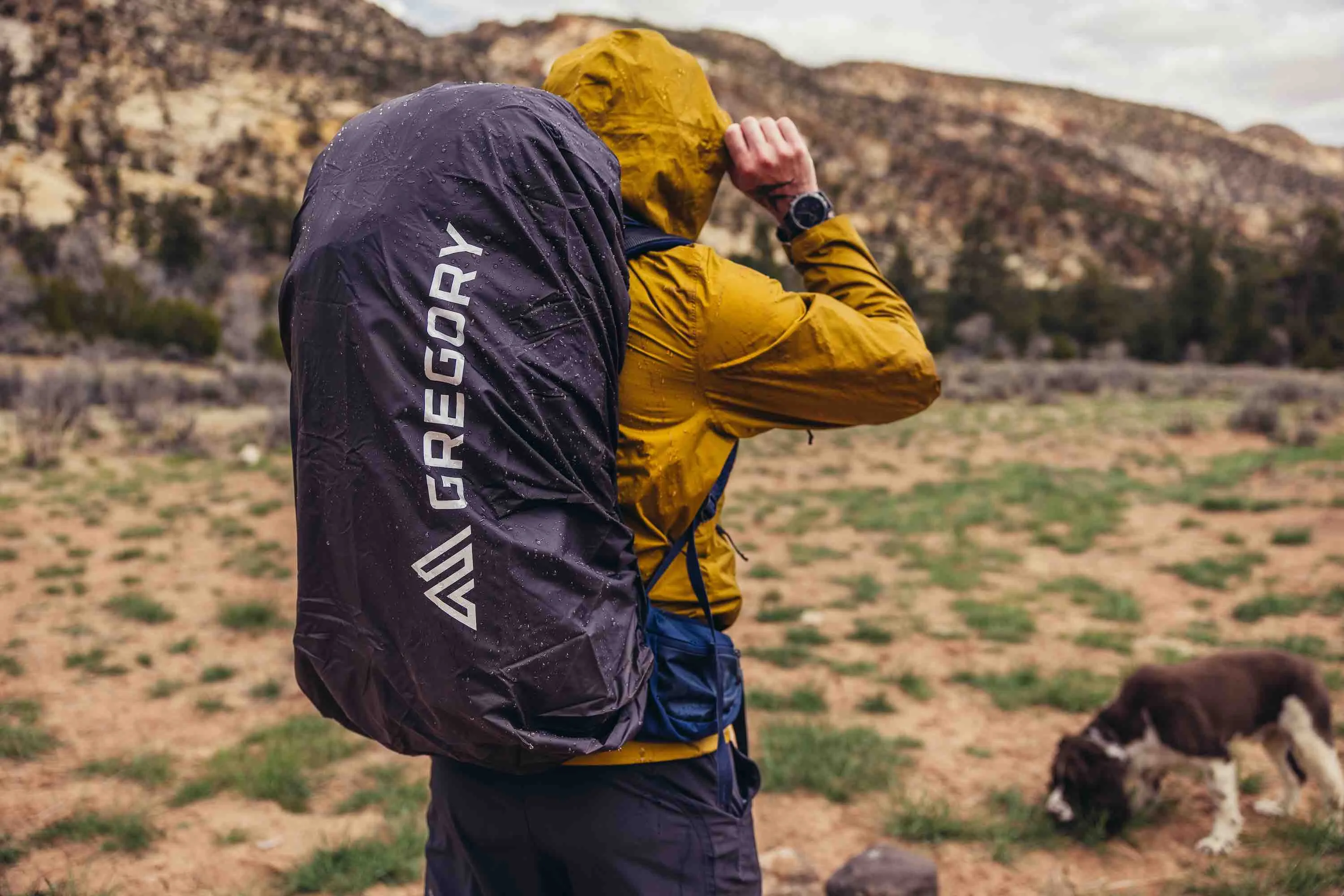 Gregory Paragon 50L Backpack