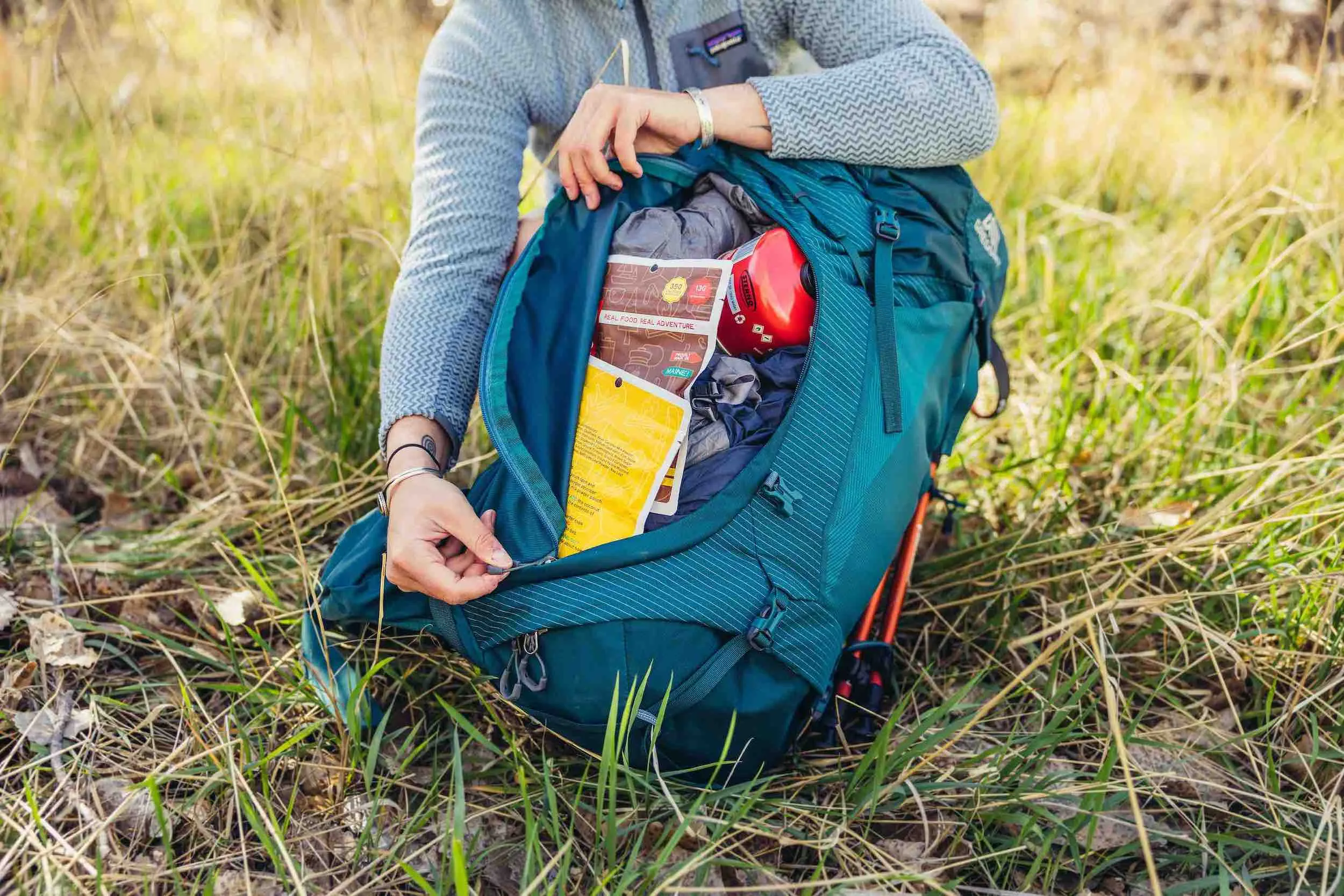 Gregory Paragon 50L Backpack