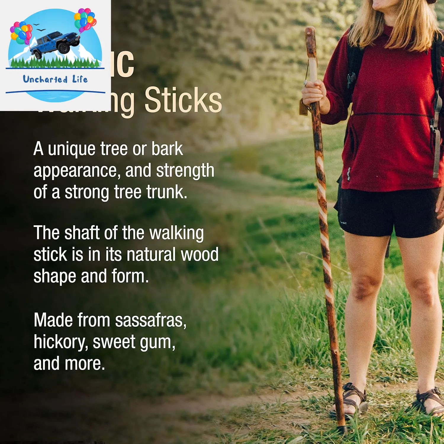 Handcrafted Wooden Walking Sticks: Explore Nature with Brazos - USA