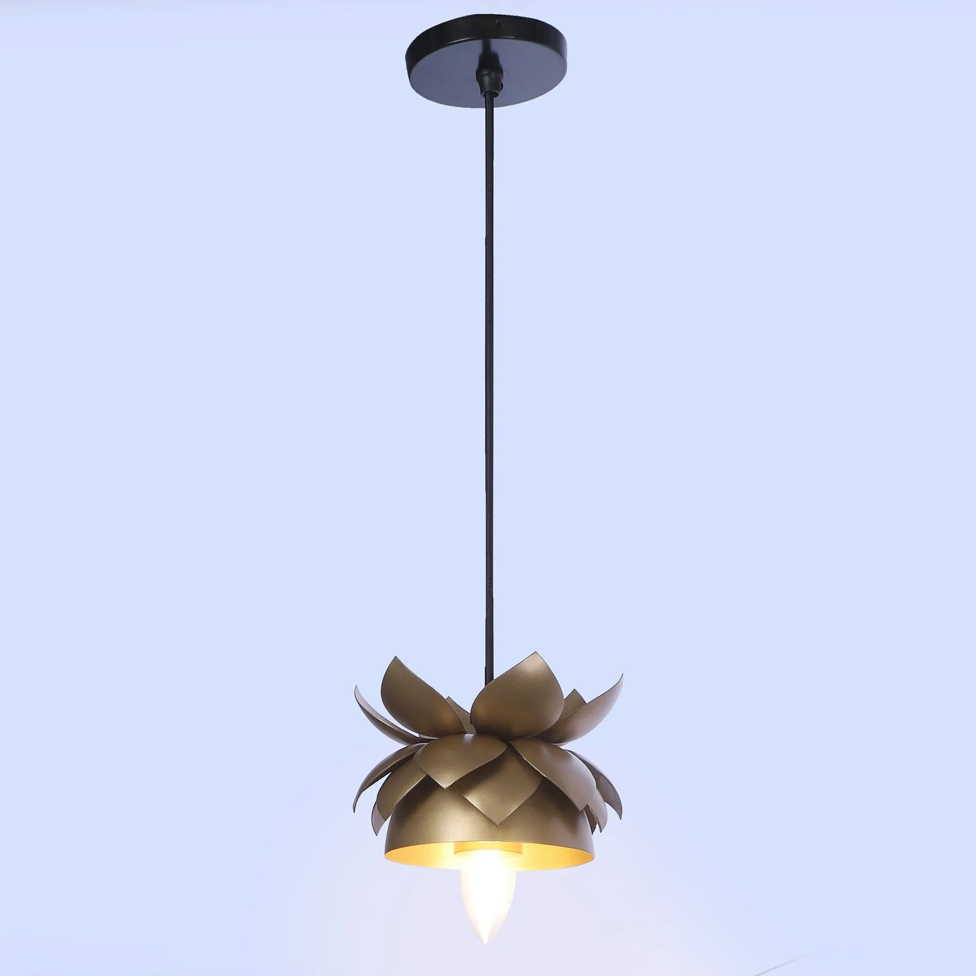 Hang Gold Metal Hanging Light by SS Lightings
