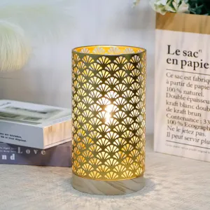 JHY DESIGN Metal Battery Powered Lamp 9''H Medium Cordless Table Lamp with 6-Hours Timer Modern Lamp for Weddings Party Patio Garden Indoors Outdoors Table Balcony（Gold）