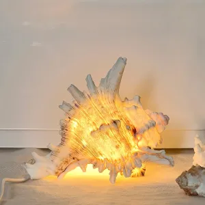 Magic Conch Shell Lamp – LED Lighted Real Conch Shell Night Light (4.5''-5.5'') USB/Battery-Powered Seashell Lamp for Bedroom Beach Décor (White, Medium)