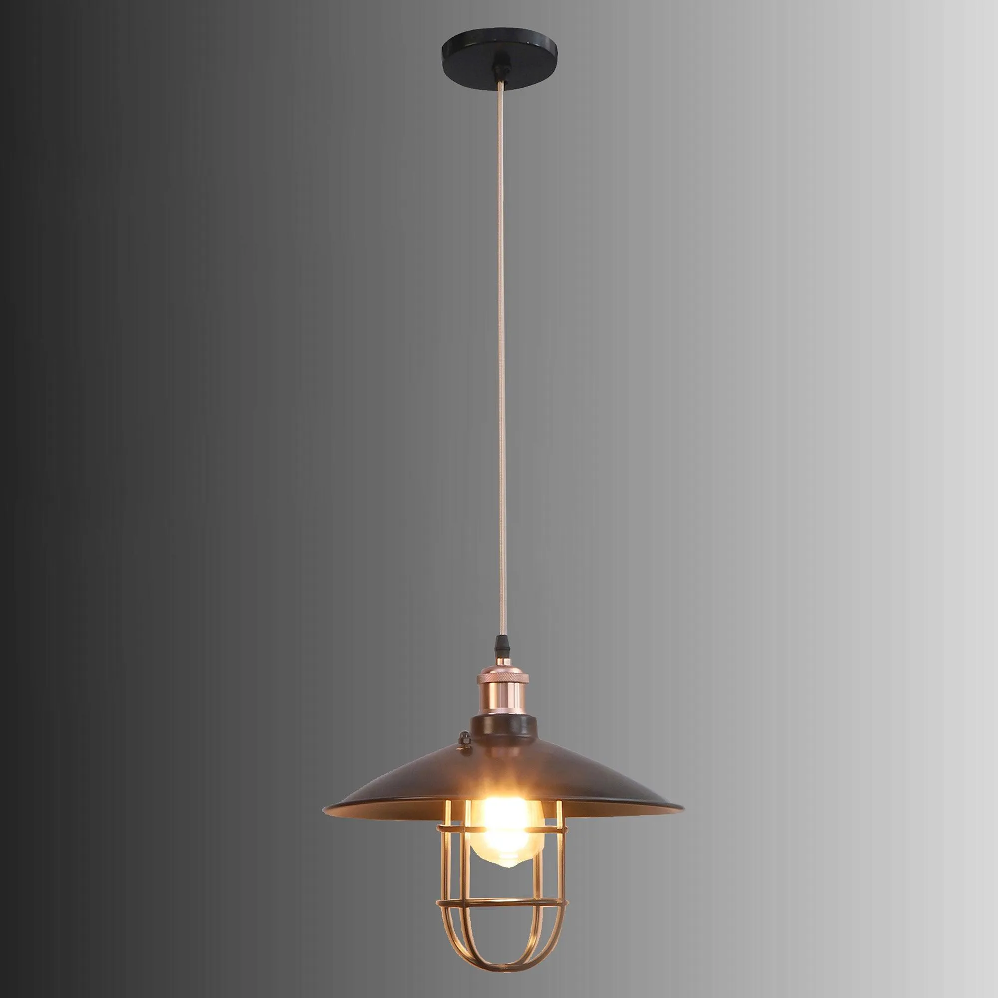 Nora Black Metal Single Hanging Light By Ss Lightings