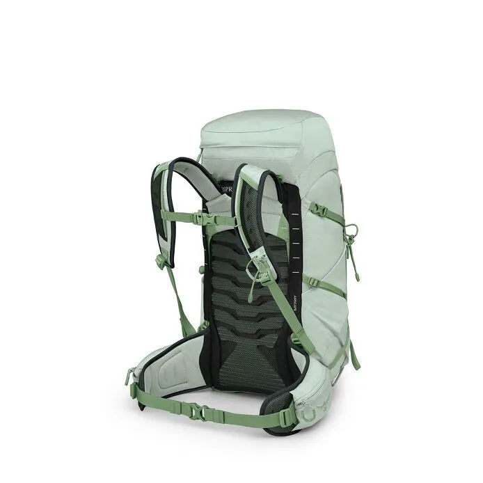 Osprey Talon 33 Green Canopy Pine Leaf OS EF