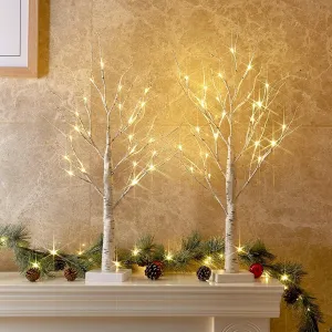 PEIDUO Home Decor, 2FT Birch Tree with LED Lights, Warm White Light up Tree Lamp, Artificial Trees for Home Table Inside, Mother's Day Gift, Battery Powered, Timer (2PK)