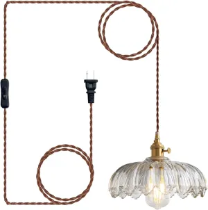Plug in Pendant Light Fixtures, Plug in Hanging Lamps Glass Hanging Lights, Pendant Lighting for Kitchen Island, Bedroom, Dining Room, Living Room, E26 No Bulb