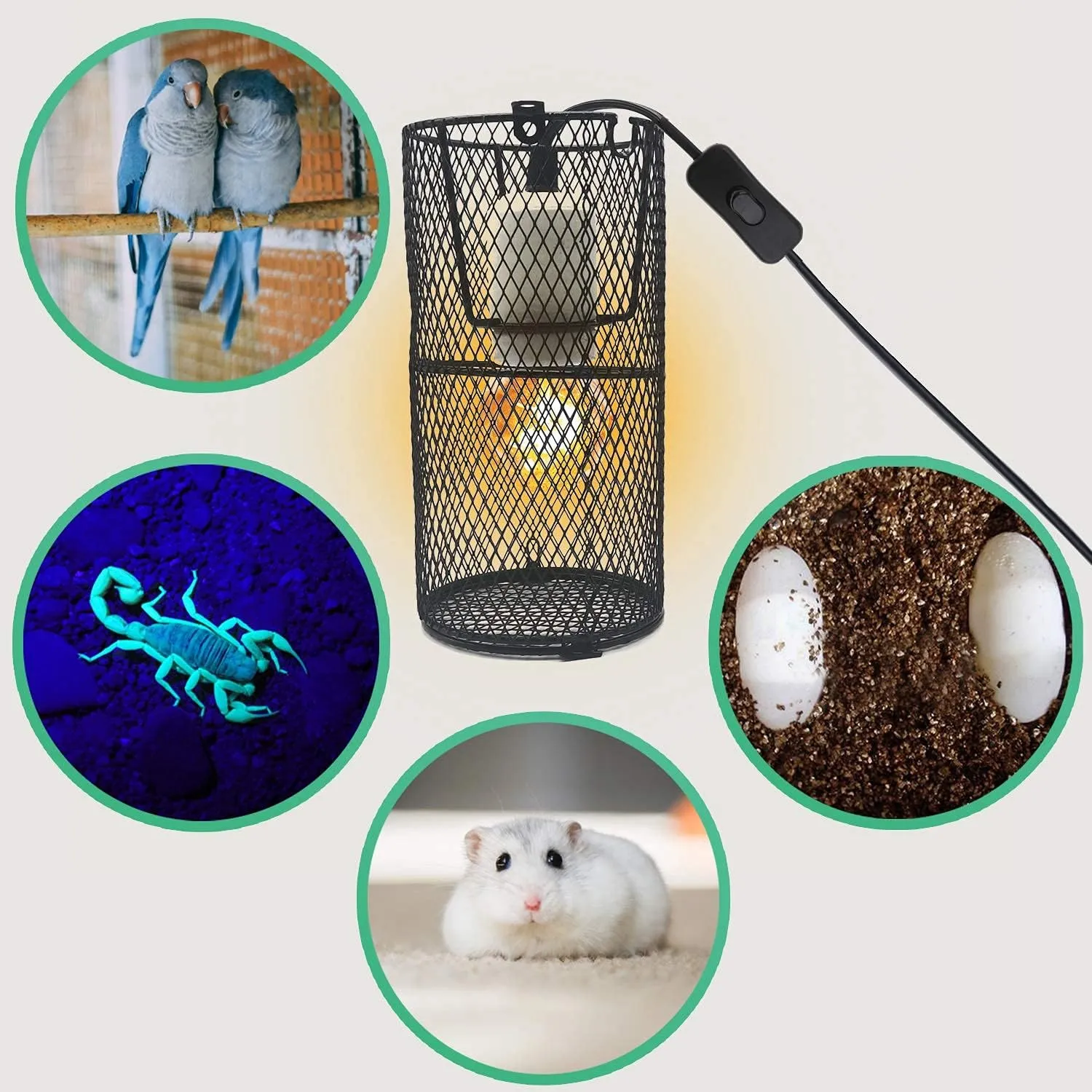Reptile Heat Lamp Guard Ceramic Heat Emitter Basking Heater Lamp Reptile Accessories for Turtle Snakes Lizards Frogs Chicks with Power Switch & Anti-Biting Hanging Hook Design Round Without Bulb 150w
