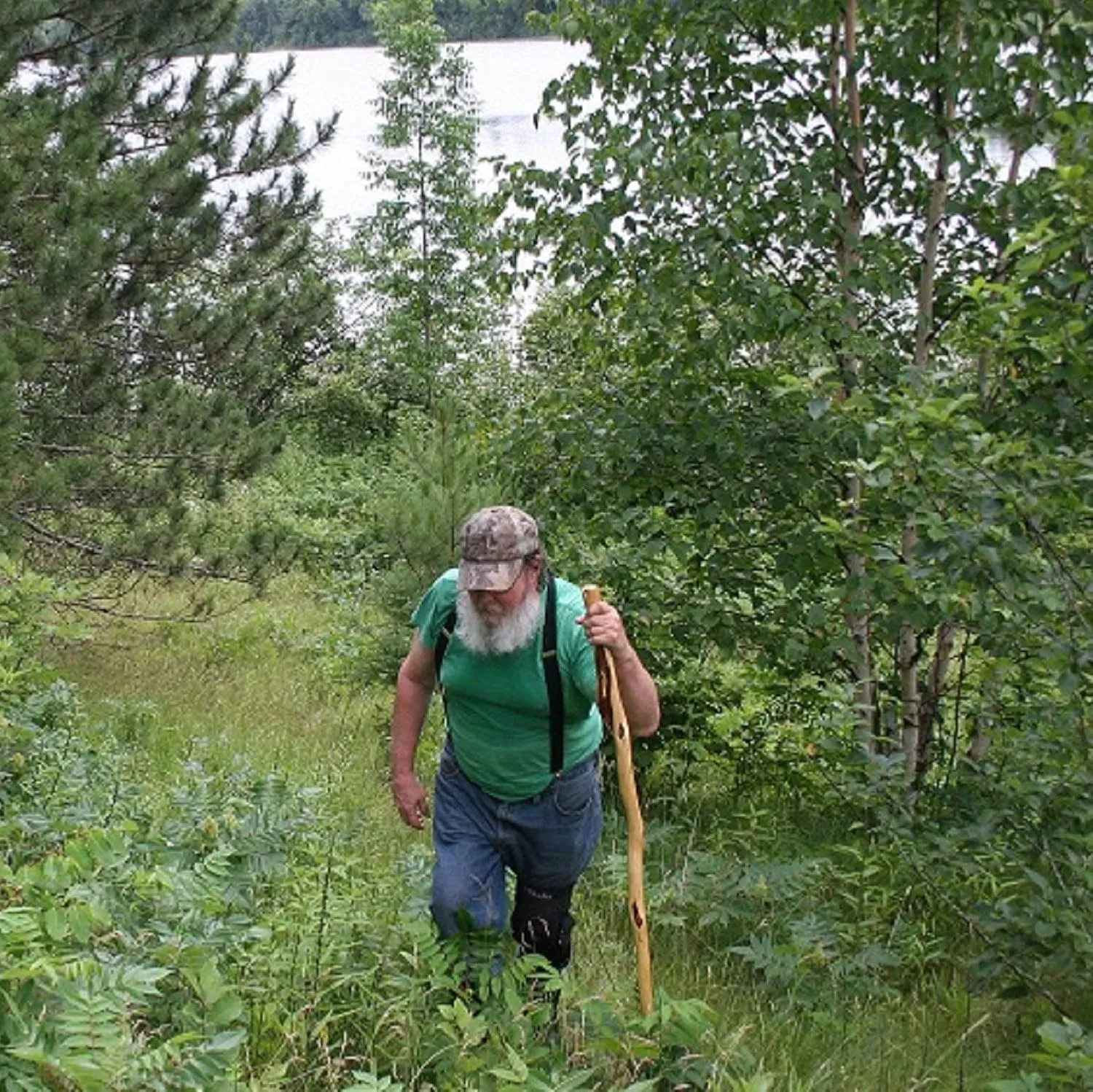 Rustic Hiking Stick, 38 to 62 inches, Unique Finished Natural Diamond Willow Wood, Handcrafted in MN, USA (52 inches)
