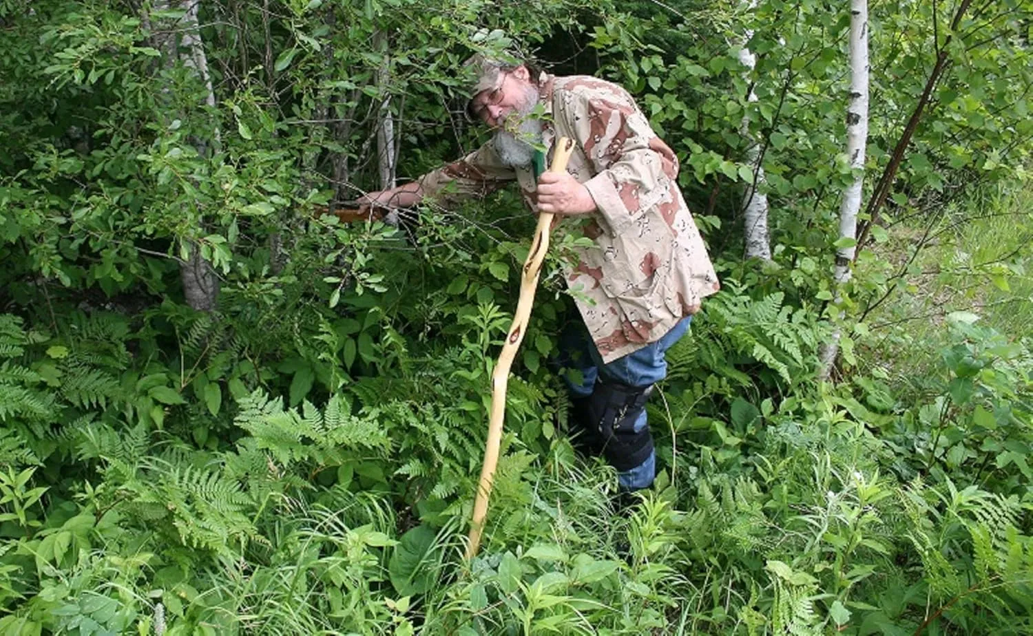 Rustic Hiking Stick, 38 to 62 inches, Unique Finished Natural Diamond Willow Wood, Handcrafted in MN, USA (52 inches)