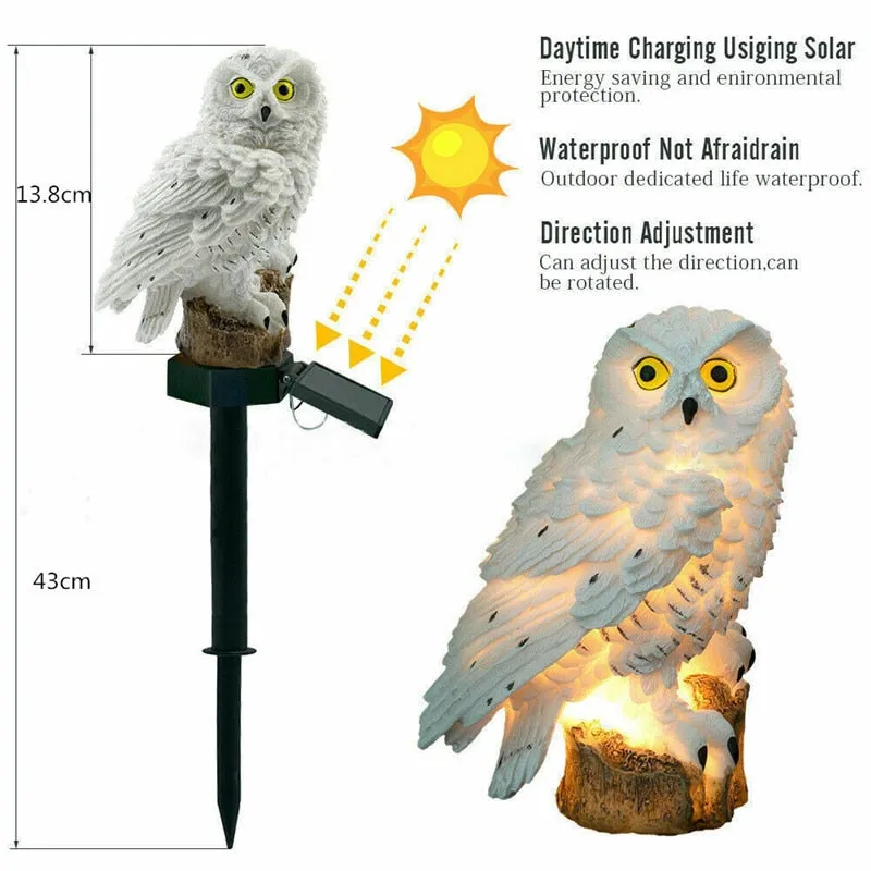 Solar Powered LED Lights Garden