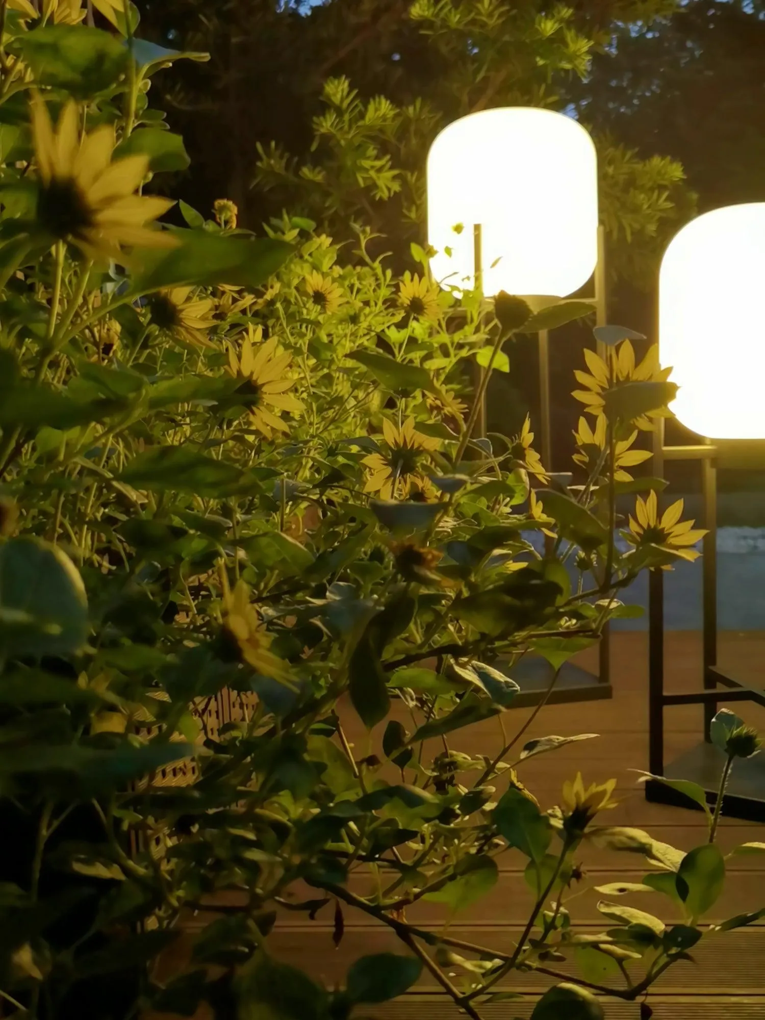 SOLARA – SOLAR POWERED OUTDOOR FLOOR LAMP