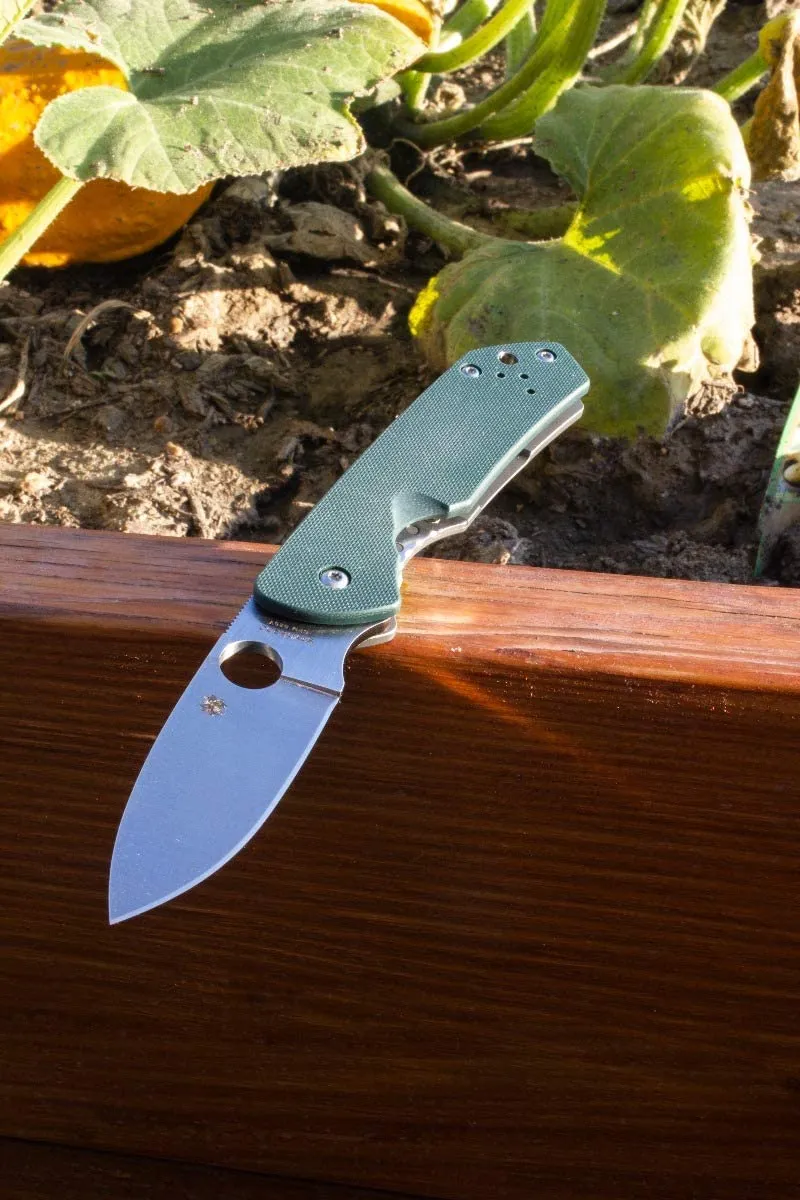 Spyderco Brouwer Folder PlainEdge Folding Pocket Knife, Green G10 Handle