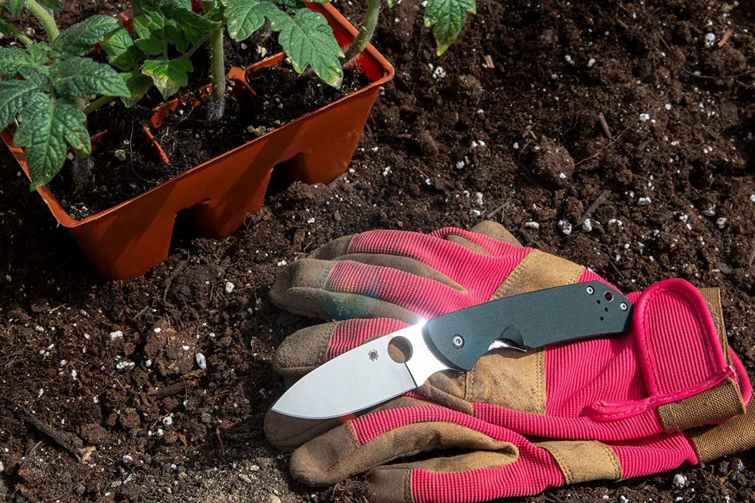 Spyderco Brouwer Folder PlainEdge Folding Pocket Knife, Green G10 Handle