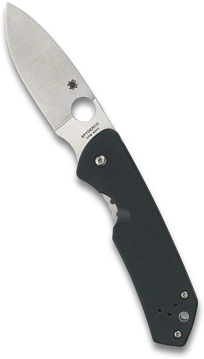 Spyderco Brouwer Folder PlainEdge Folding Pocket Knife, Green G10 Handle