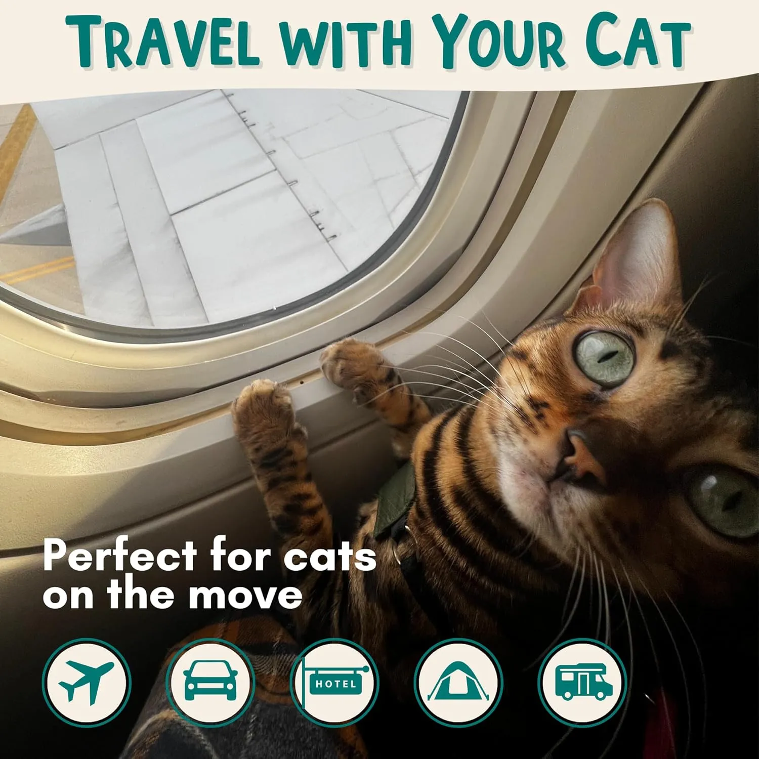 Travel Litter Box for Cats (Small) by OutdoorBengal - Non-Stick, Waterproof, Portable, Collapsible, Mess-Free Pet Litterbox (Air, Plane, Car, Van, Camping and Hotel Traveling with Your Kitty)