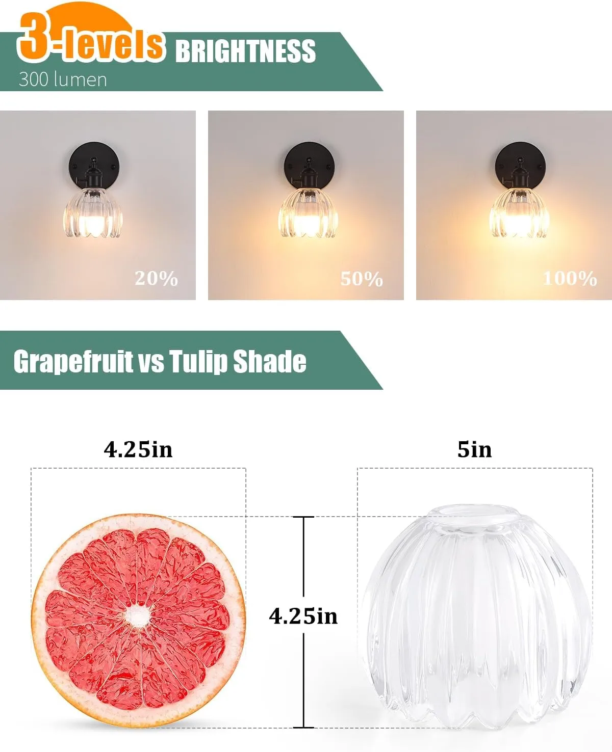 Vintage Battery Operated Wall Sconce with Transparent Tulip Glass Lampshade Wireless Rechargeable Battery Powered Black Wall Light with Remote Control for Bedside Bedroom Doorway