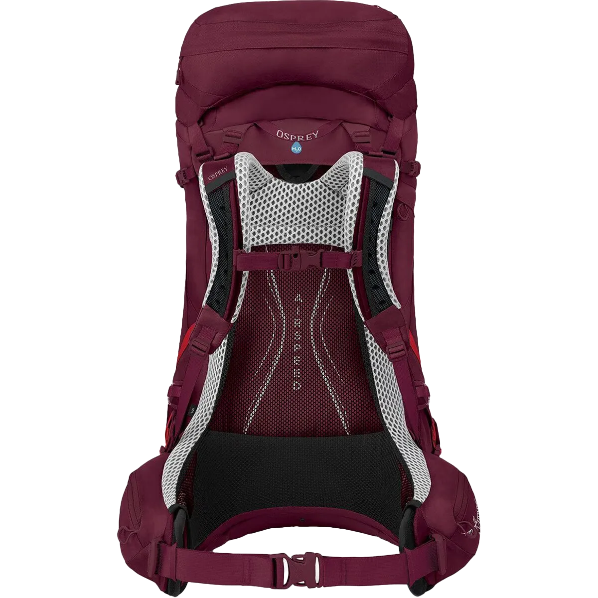 Women's Aura AG LT 50